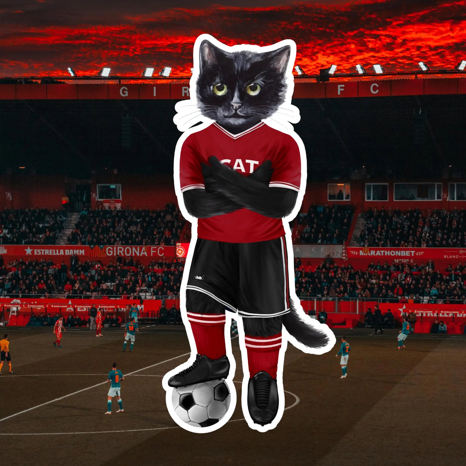 Football Cat | Cat e Lolette