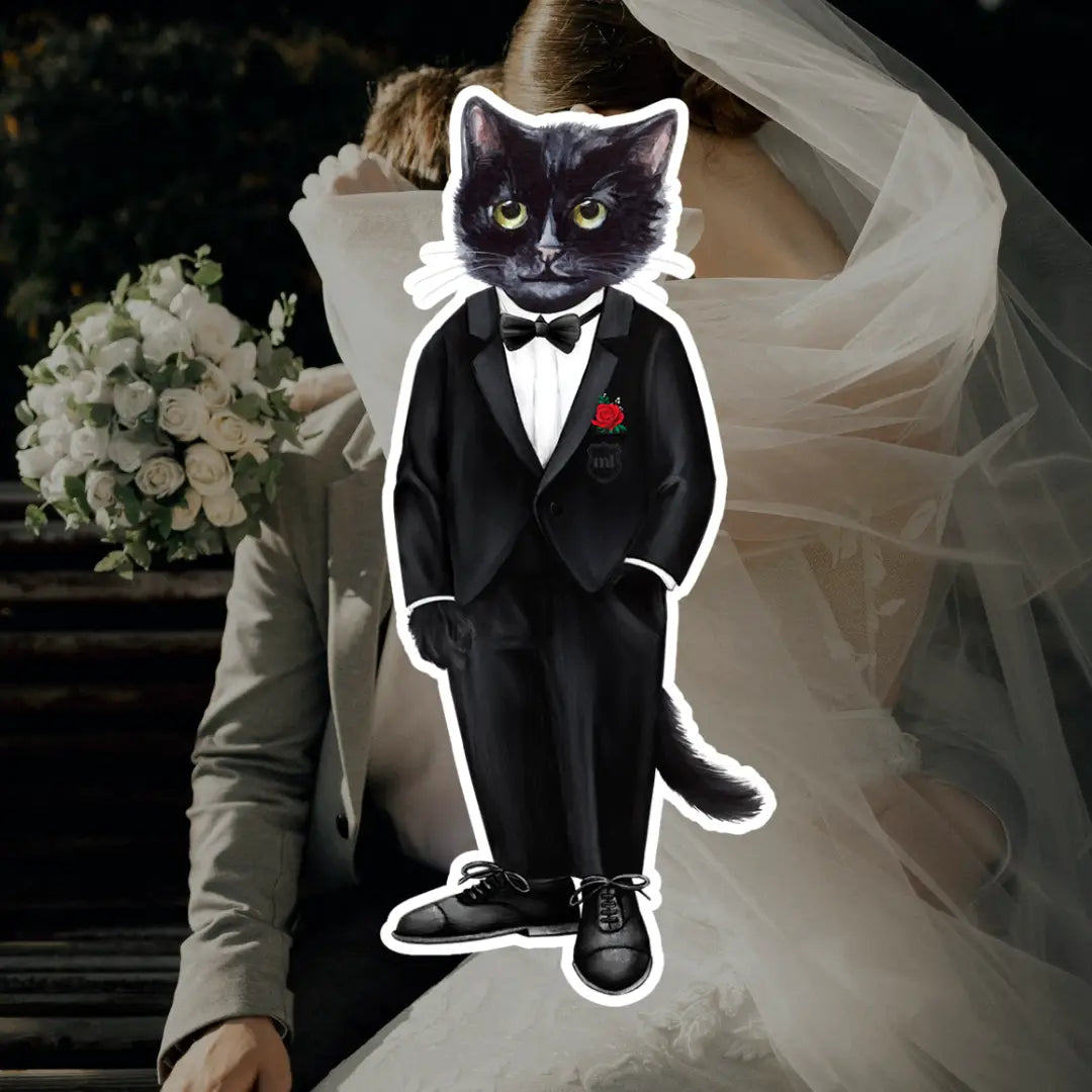 Groom Cat | Cat e Lolette