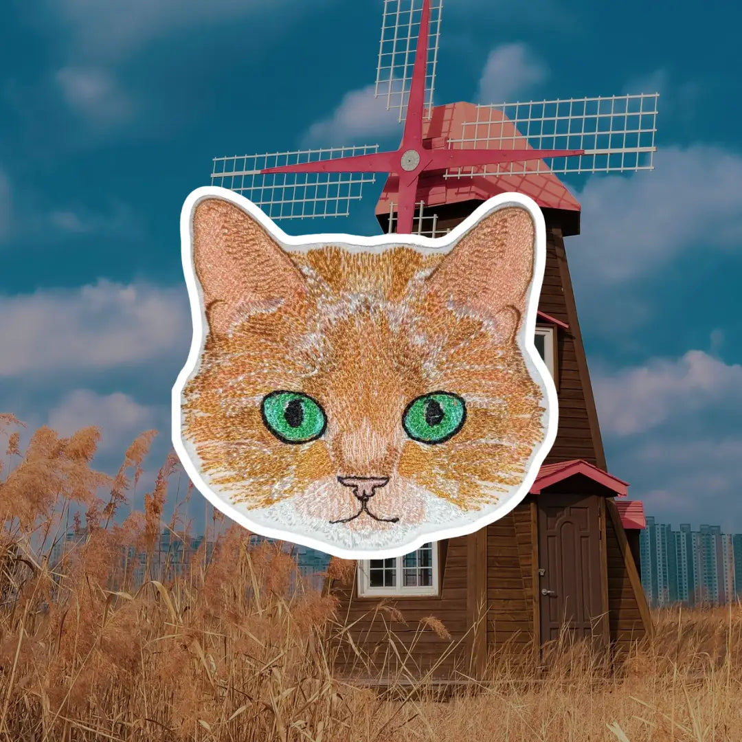 Polo Cat | Cat e Lolette