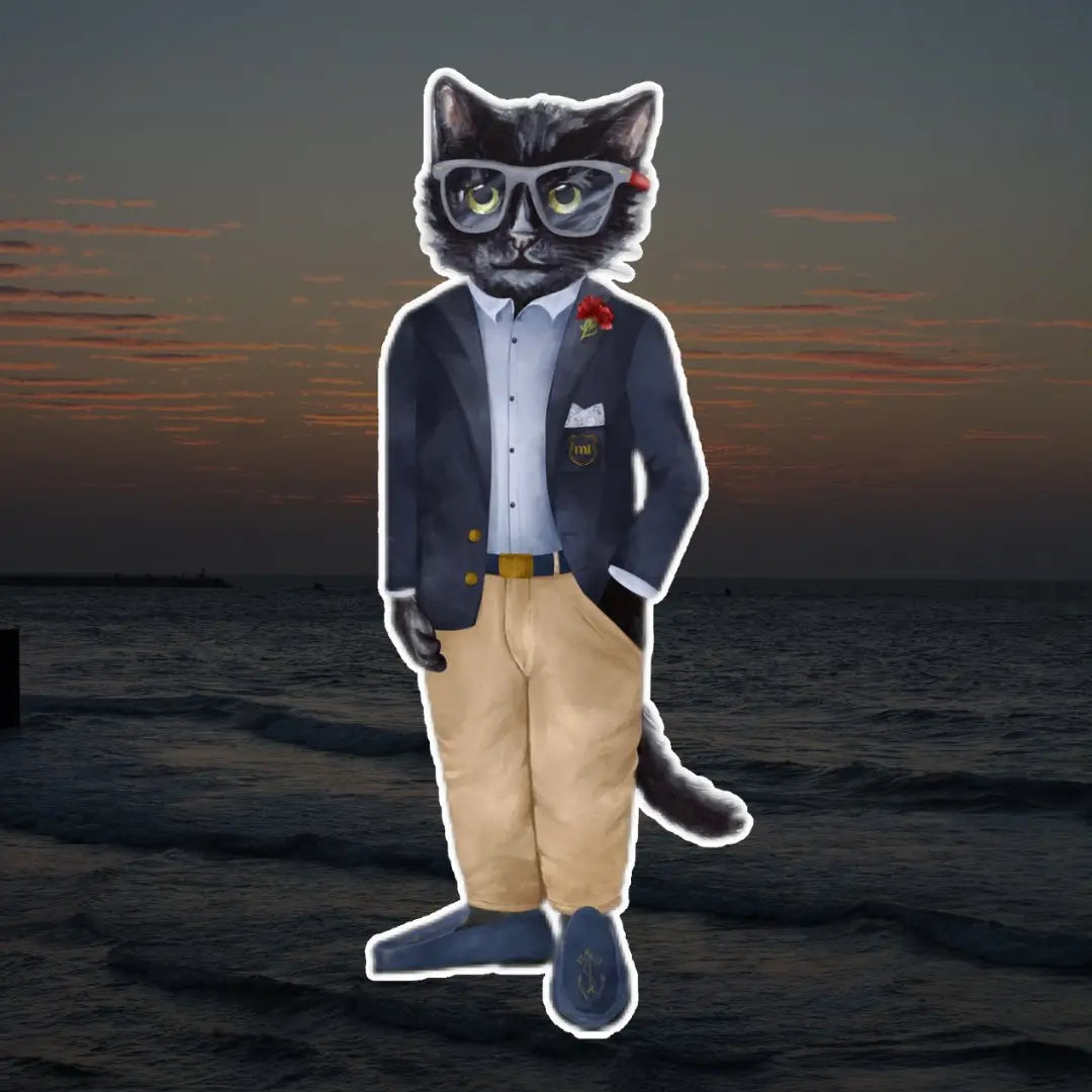 Regatta Cat | Cat e Lolette