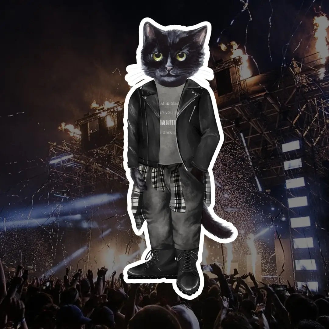 Rocker cat | Cat e Lolette