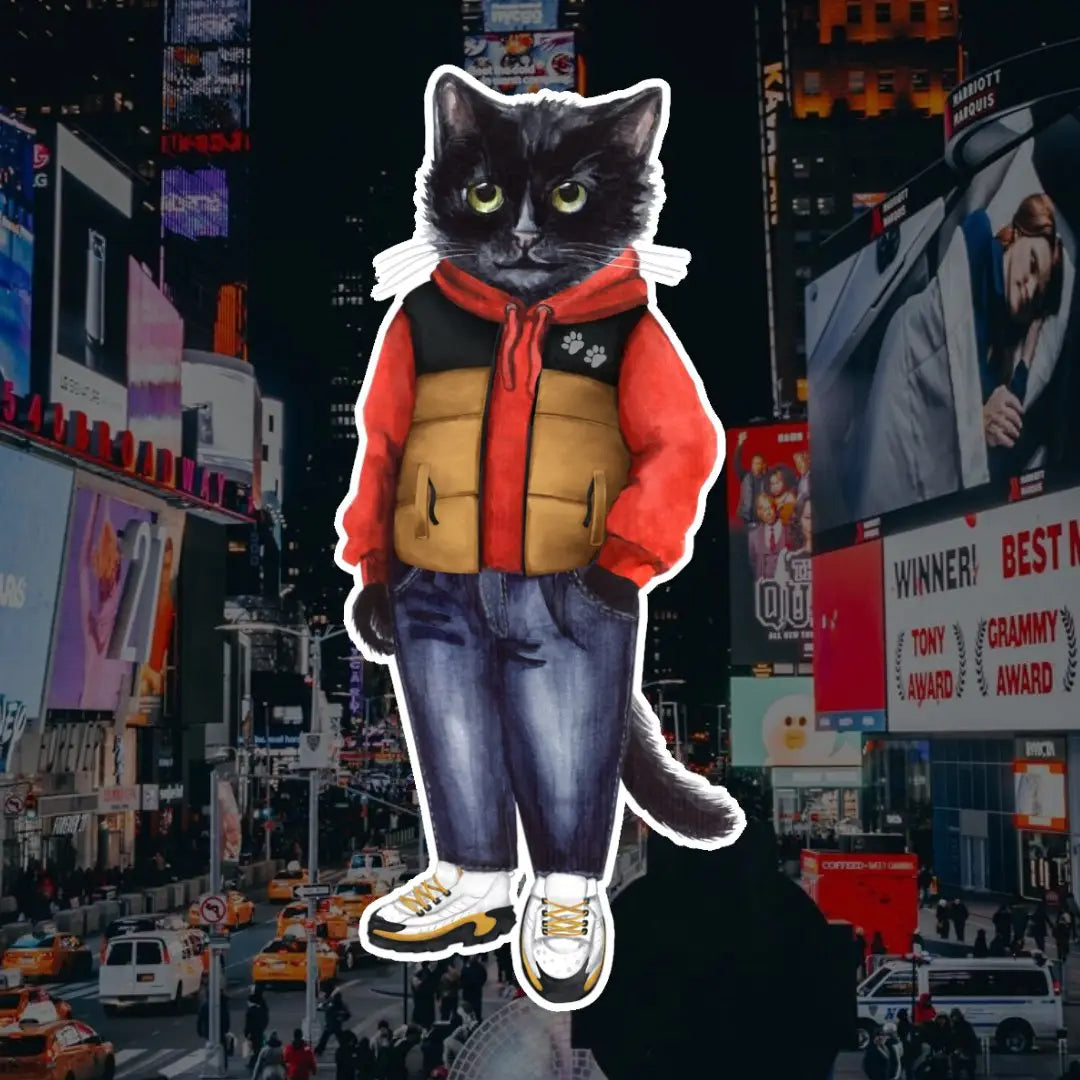 Sport Casual Cat | Cat e Lolette