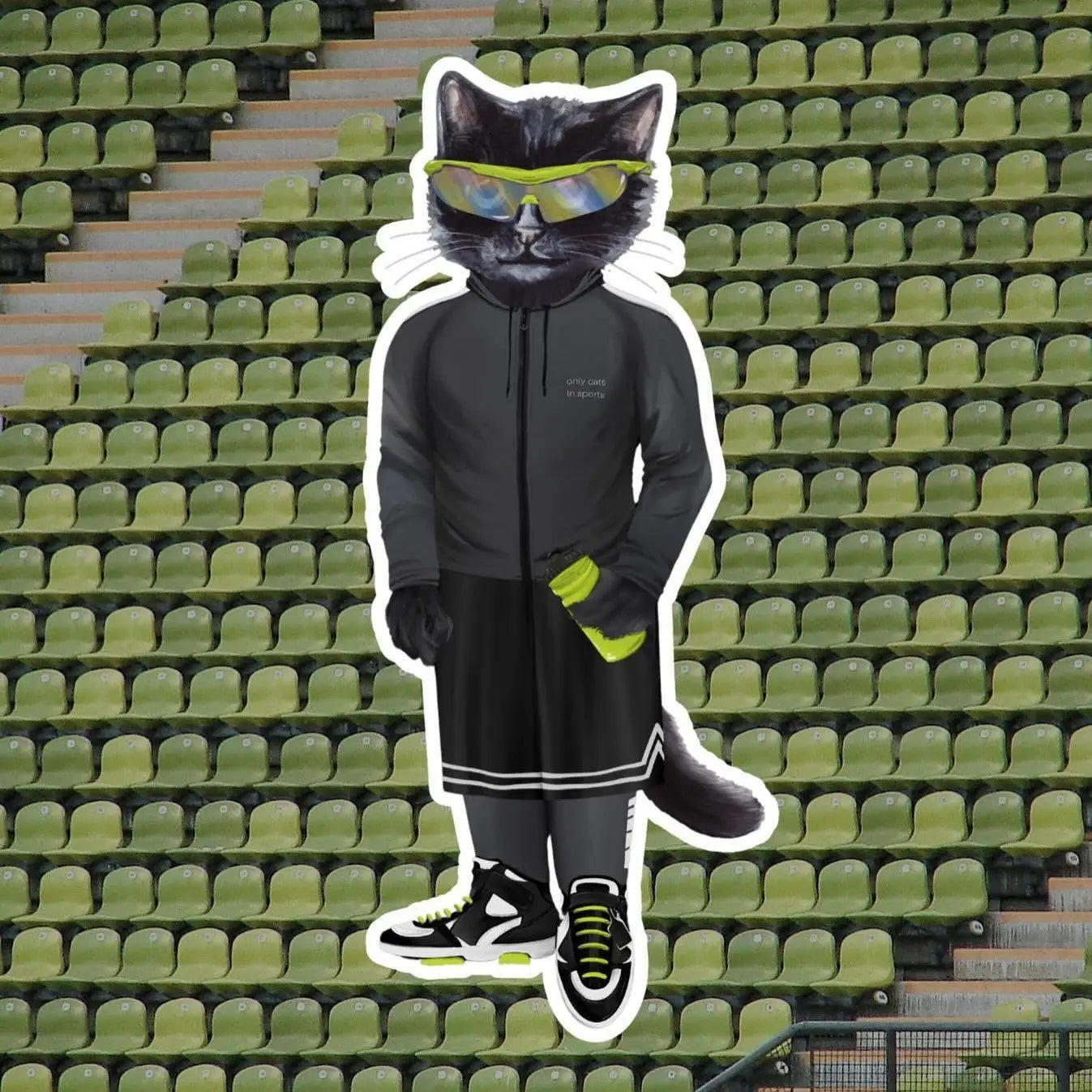 Sport Cat | Cat e Lolette