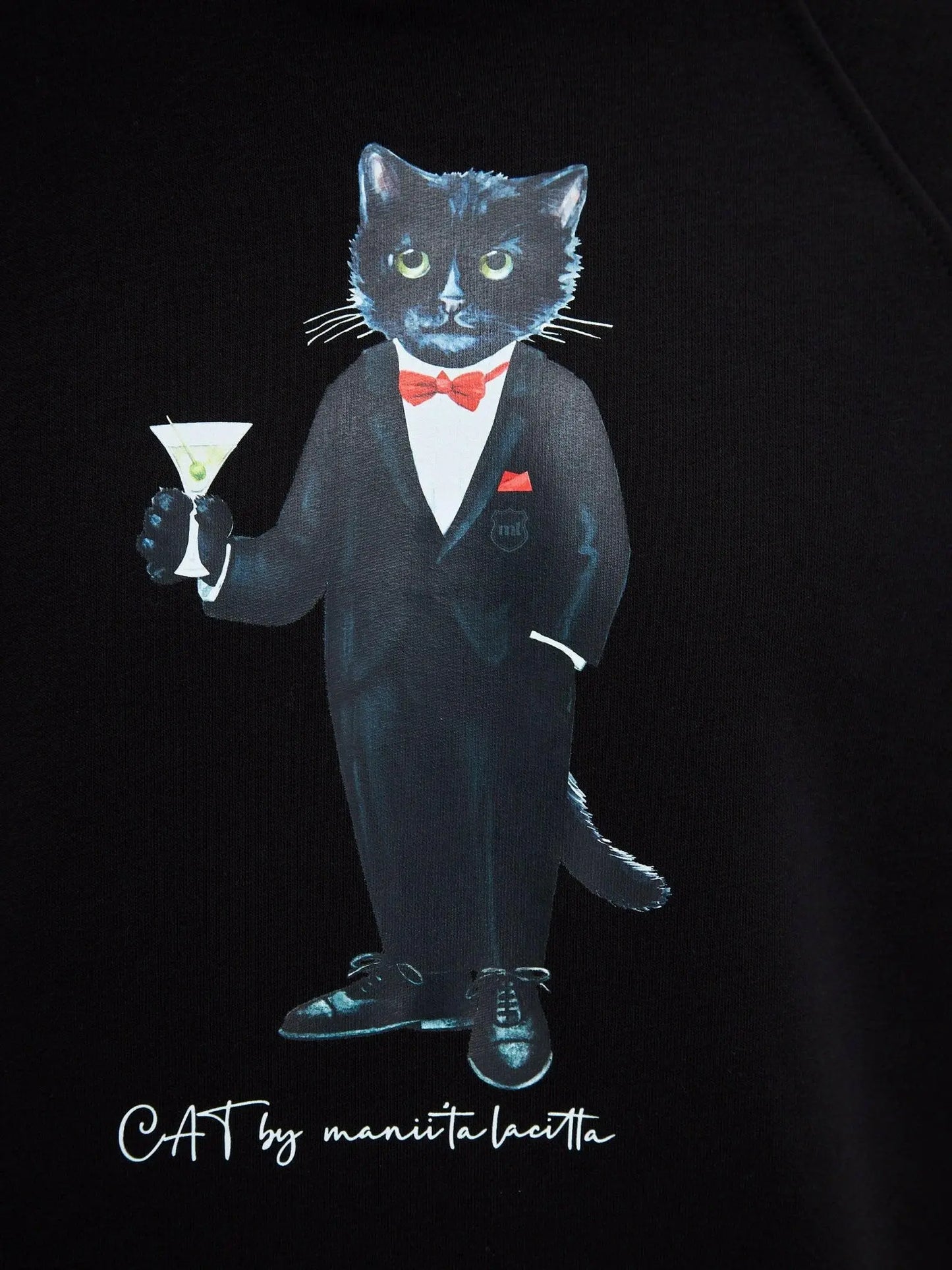 Black Hoodie Dandy Cat | Hoodie & sweatshirt For Cat Lovers | Cat e
