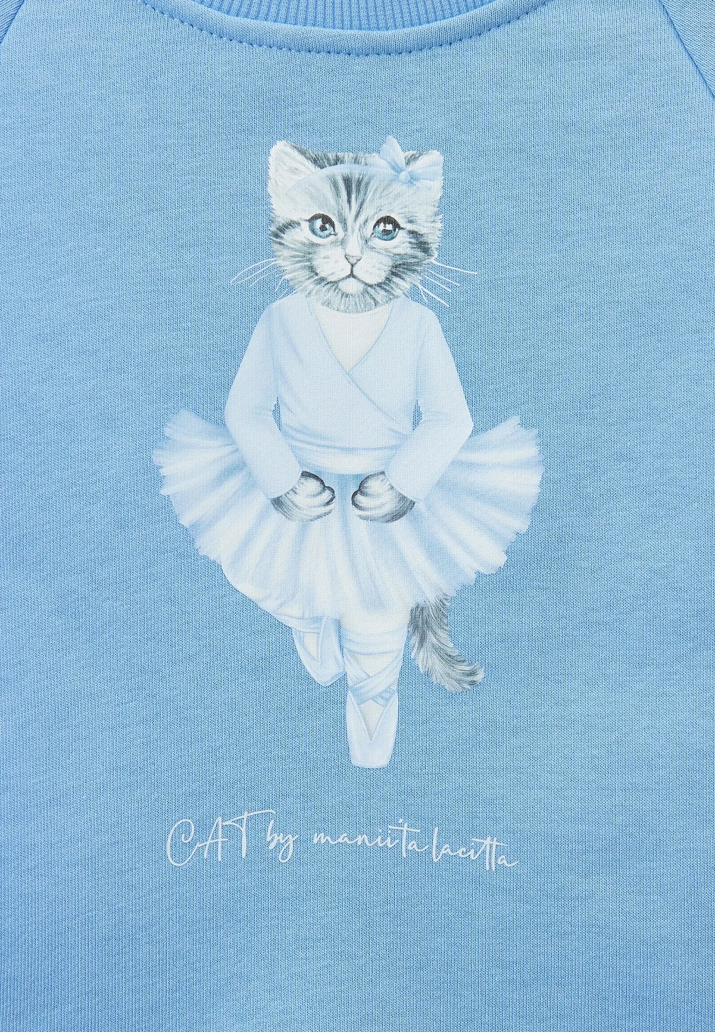 Blue Sweatshirt Ballet Cat | Hoodie & sweatshirt For Cat Lovers | Cat