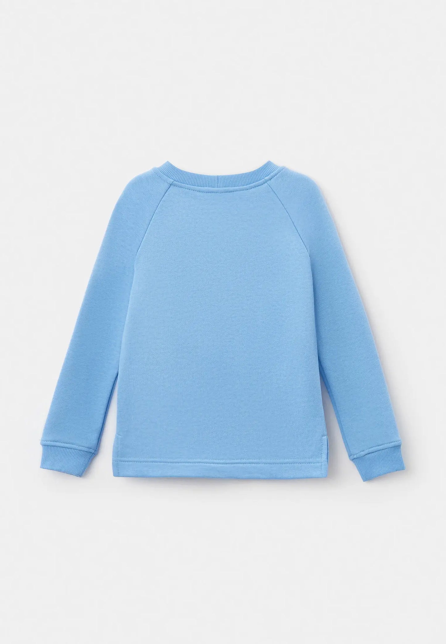 Blue Sweatshirt Ballet Cat | Hoodie & sweatshirt For Cat Lovers | Cat