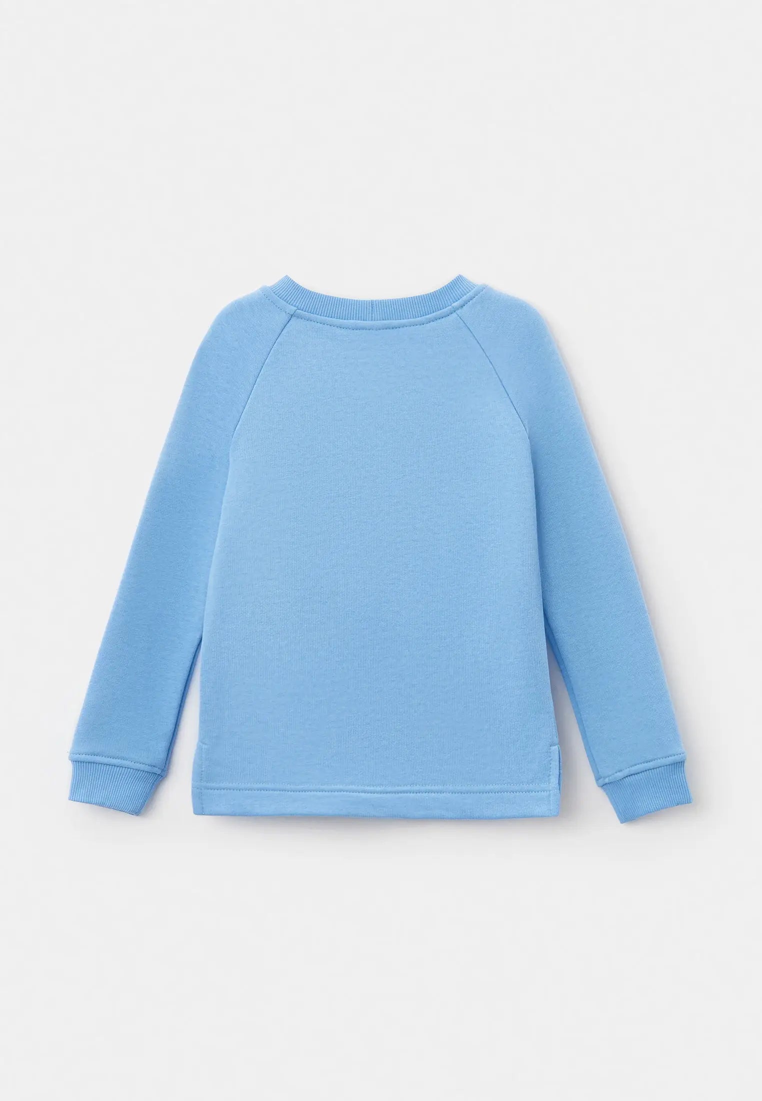 Blue Sweatshirt Ballet Cat | Hoodie & sweatshirt For Cat Lovers | Cat