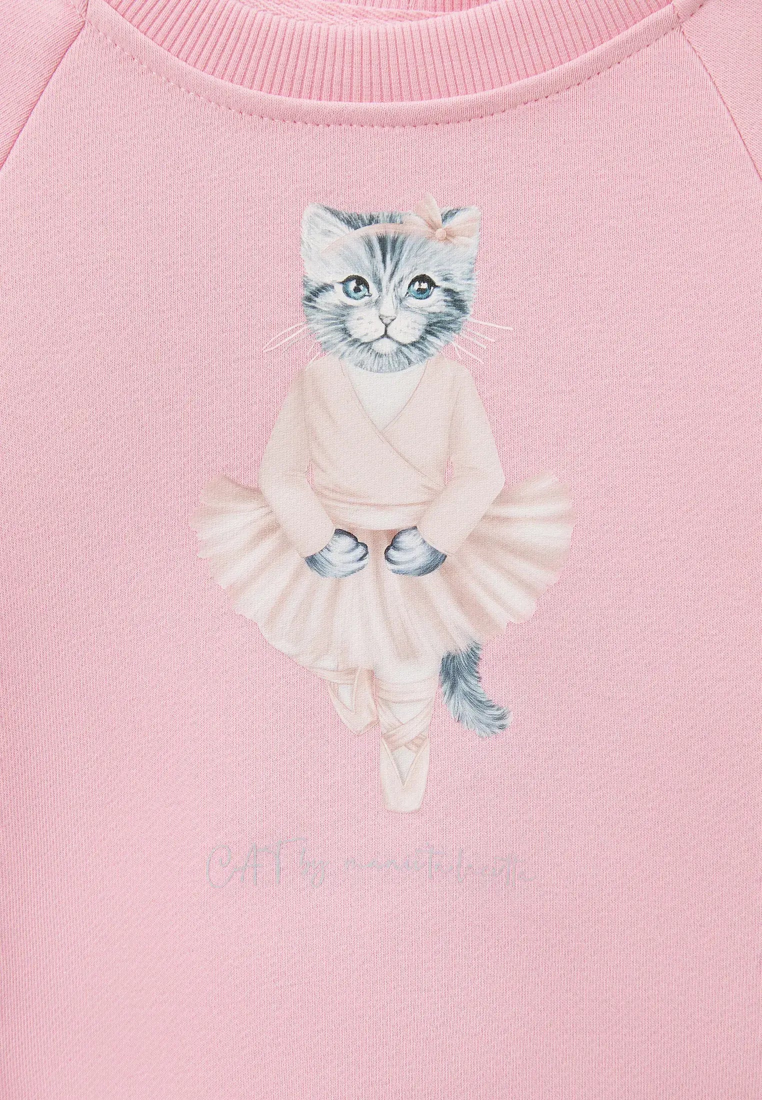 Pink Sweatshirt Ballet Cat | Hoodie & sweatshirt For Cat Lovers | Cat