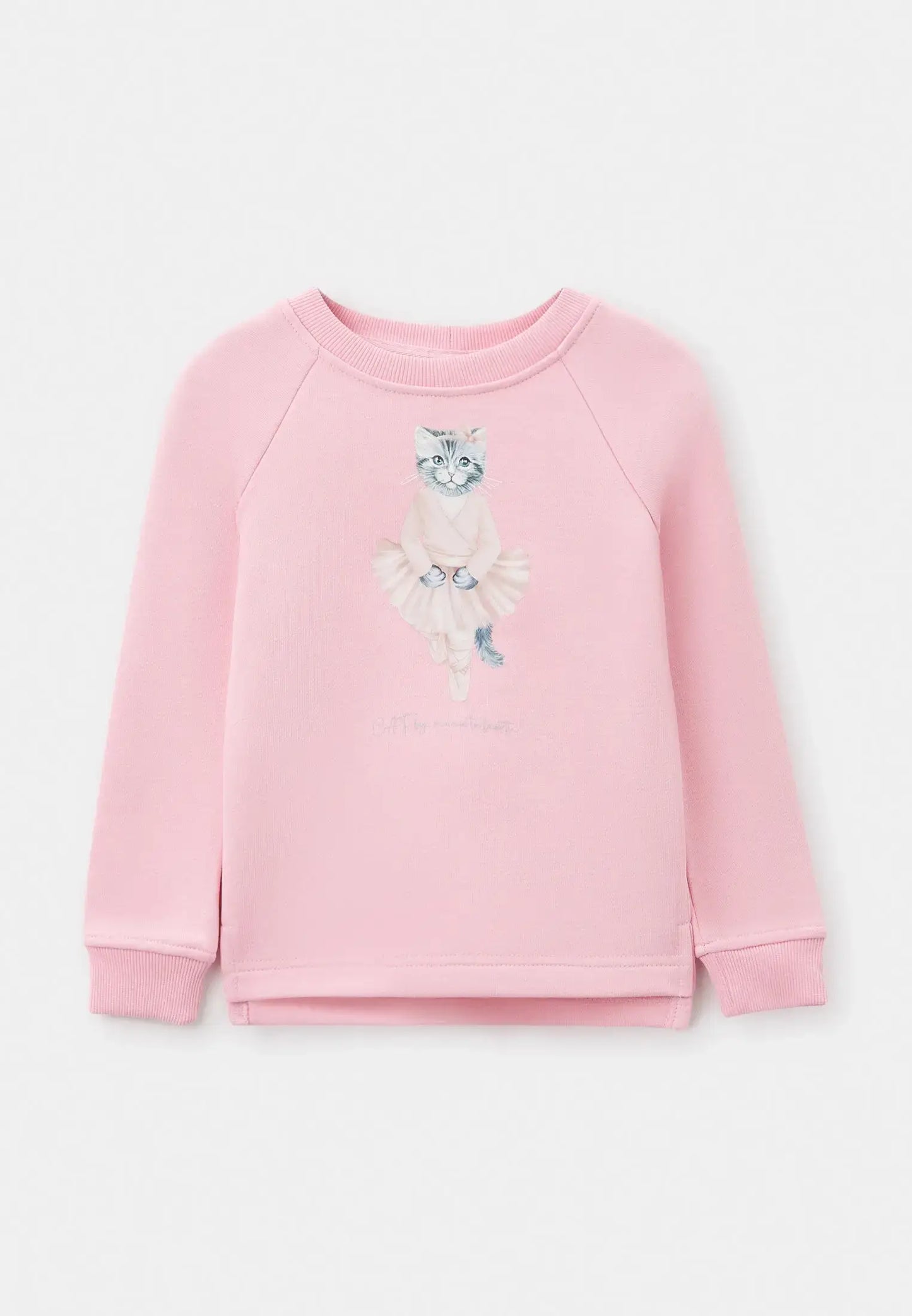 Pink Sweatshirt Ballet Cat | Hoodie & sweatshirt For Cat Lovers | Cat