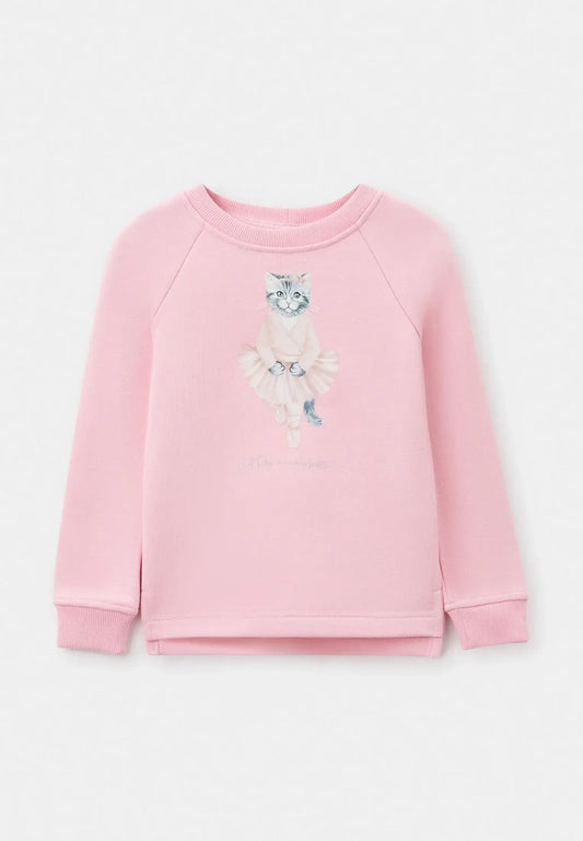 Pink Sweatshirt Ballet Cat | Hoodie & sweatshirt For Cat Lovers | Cat